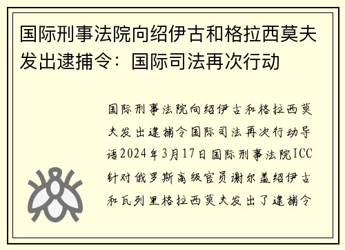 国际刑事法院向绍伊古和格拉西莫夫发出逮捕令：国际司法再次行动